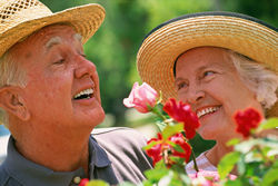 couple with roses