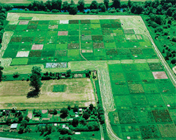 image grasslands